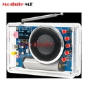 DIY FM Radio Electronic Kit - 87-108MHz - Soldering Project